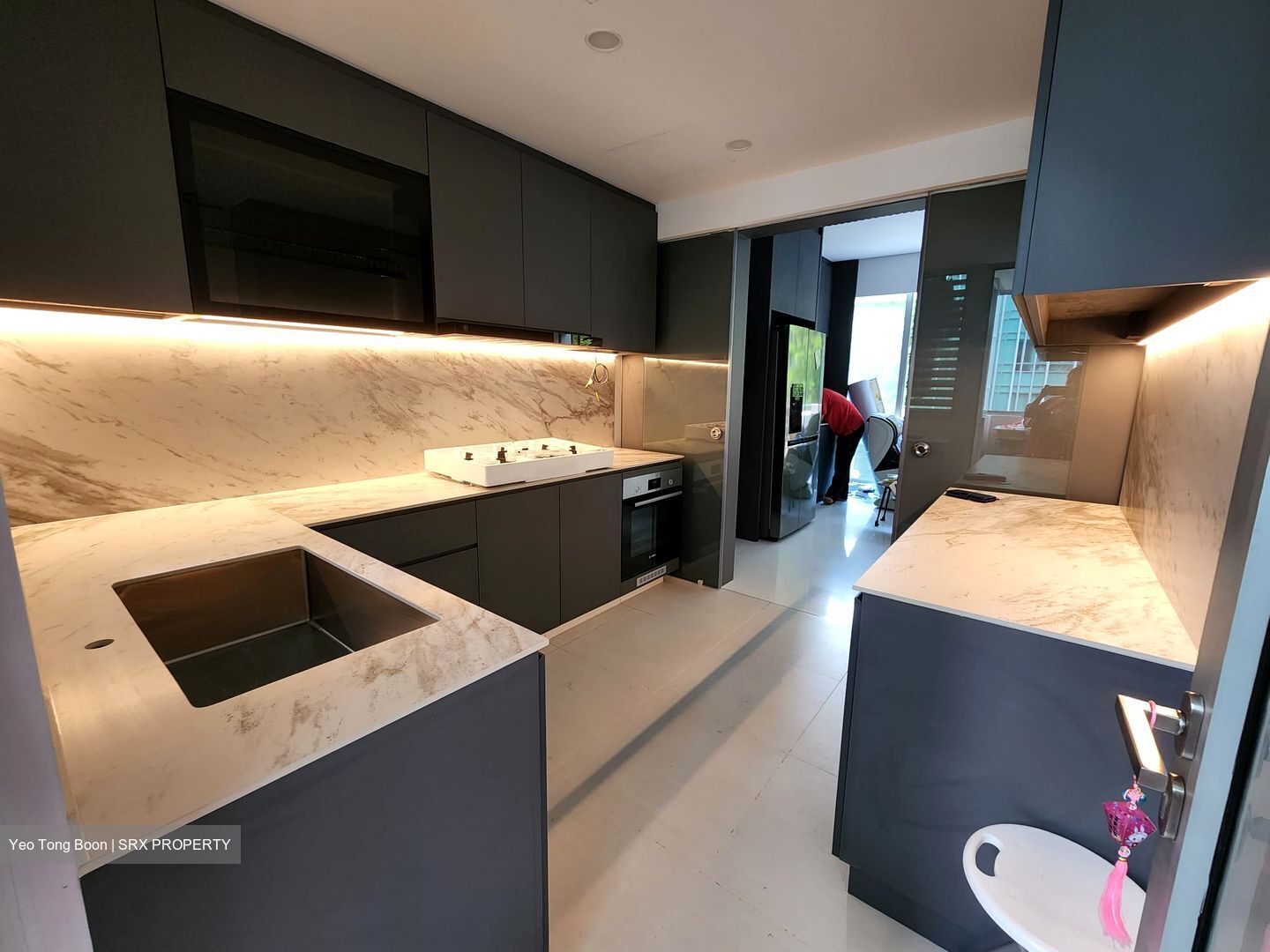 Cairnhill Residences (D9), Apartment #558867721